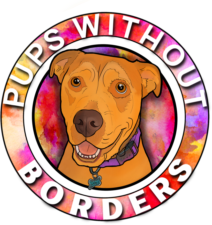 Welcome to Pups Without Borders