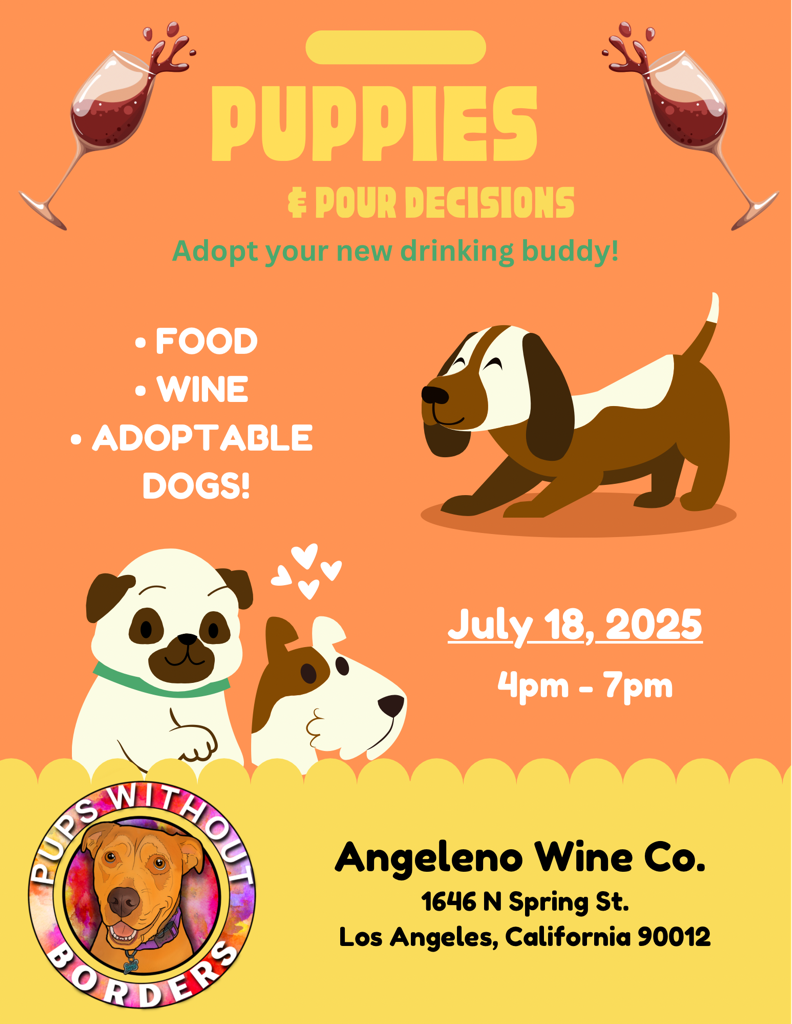 puppies and pour decisions