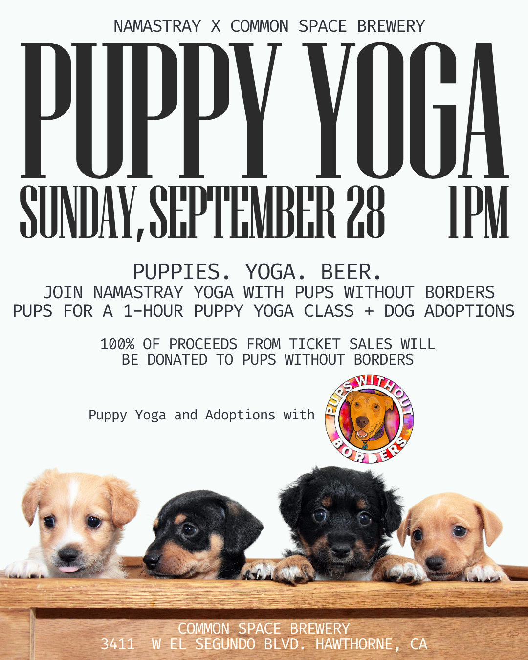 Namastray Puppy Yoga with Pups without Borders